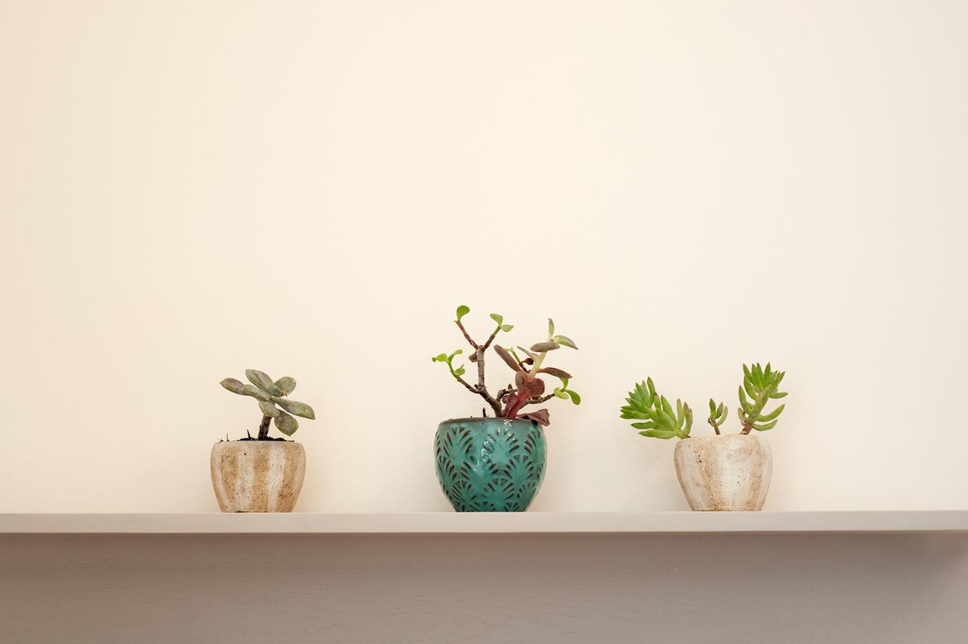 Apartament In Con Giardino - Numeroquattro